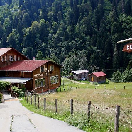ÇamlıhemşinKuspuni Dag Evi别墅 外观 照片