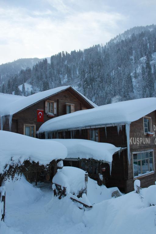 ÇamlıhemşinKuspuni Dag Evi别墅 外观 照片